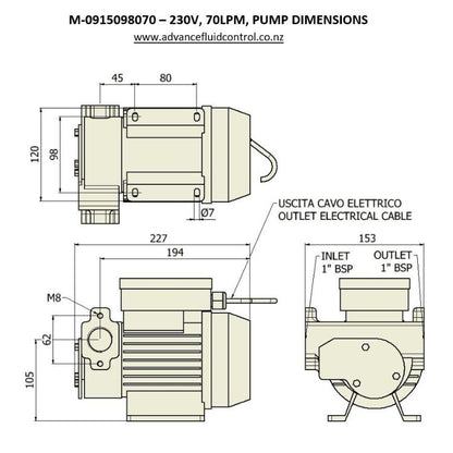 MECLUBE Electric Diesel Transfer Pump, 230V, 70L/min, 1"